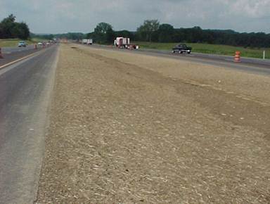 Description: Description: Description: Description: Seeding Median