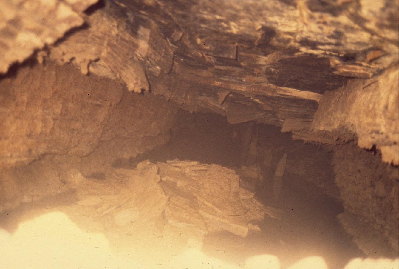 Abandoned Underground Mine